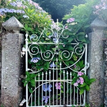 Animism, Art & Adventure Inspirations