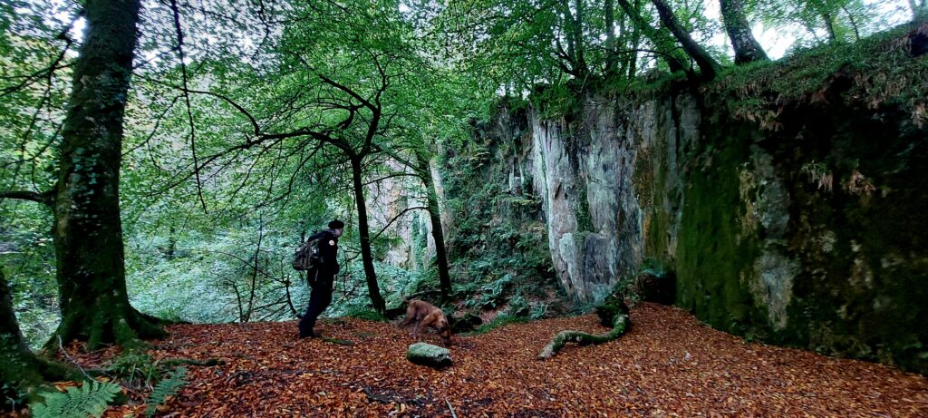 an image of a quarry wall